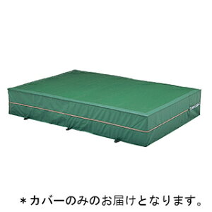 �G�o�[�}�b�g �g�[�G�C���C�g G-1553A �y�J�o�[�̂݁z�����O���p�G�o�[�}�b�g�i�h���G�X�e�����z�j�E�㕔���b�V�� 200×300×50cm (TOL)�y36CE�z