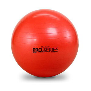 SDS EXERCISE BALL/GNTTCY{[ vV[Y bh/55cm ( #SDS-55 / JSD10257223 )y D&M zy D&M K{[ zy36CEz