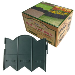 ~߁EtFX@Pi20 O[ ( '4935682025767 / ATC10262361 )y Rp zy36CEz