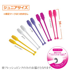 WjAo[NuiWCgz[Hj tbVsN ( MJ-38H-FRP / SAK10293769 )y TTL zy36CEz