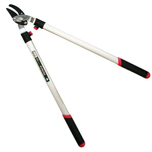 N葾} ( OM-600 / IGH10313387 )y ܏\n zy36CEz