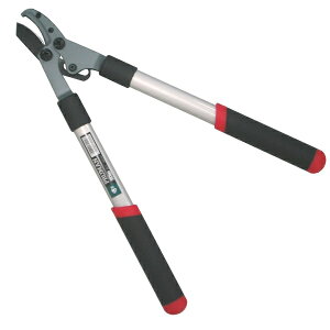 N~j@} ( OM-300 / IGH10313388 )y ܏\n zy36CEz