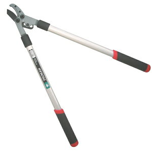 N~j@} ( OM-450 / IGH10313389 )y ܏\n zy36CEz