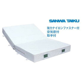 ソフトマット 三和体育 SANWA TAIKU S-9713 室内用ソフトマット （二ツ折） 200×300×30 (SWT)
