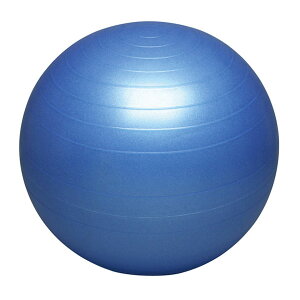 oX{[ZCteB[ 55cm ( DB55 / HAS10332625 )y n^ zy36CEz