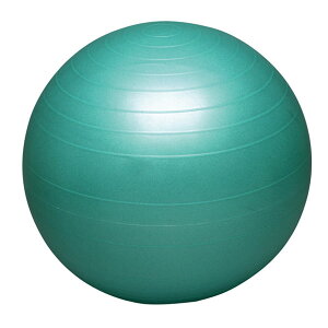 oX{[ZCteB[ 65cm ( DB65 / HAS10332627 )y n^ zy36CEz