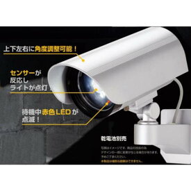 DLB-K500 DAISHINカメラ型センサーライト (AT10373769) 【 アイガーツール 】【14CD】