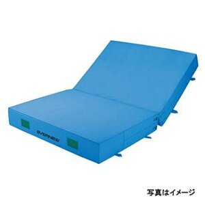 Go[}bg Goj[ EGD216 J[Go[}bgc܂ׂ~t 200×300×20 (ENW)y36CEz