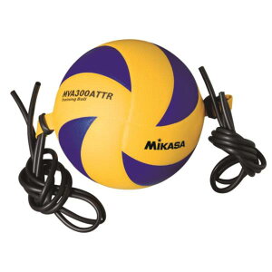 AT-HIMO g[jOp SR@2{g  (MKS10394361) y ~JT zy36CEz