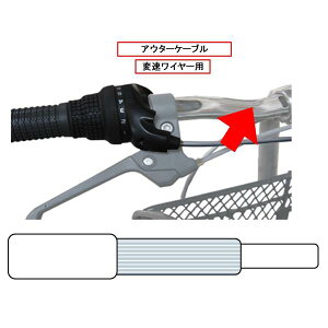 Y-2469 AE^P[uϑC[p/ 1900mmiVo[j (CAG10401991) y LveX^bO zy36CEz