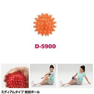 �G�o�{�[�� �_���m D-5900 Medium�{�[��6/�I�����W (DAN)�y36CE�z