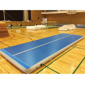 GA}bg Oä SANWA TAIKU S-9580 GA}bg Wdl t10cm 90cm×180cm (SWT)y36CEz