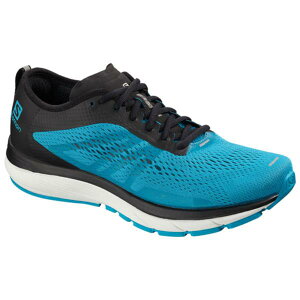 �����j���O�V���[�Y �����Y �X�j�[�J�[ �����Y �C �����Y SONIC RA 2 HAWAIIAN SURF/BLACK/WHITE �ySAM�z �y36CE�z