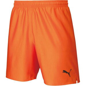 n[tpc Y TbJ[ pc W[W Y LIGA Q[pc RA 08GOLDEN POPyJSPzy36CEz