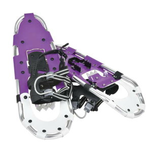 Xm[V[ C  Xm[V[Y BS-081 A~Xm[V[HL580 yBELzy36CEz