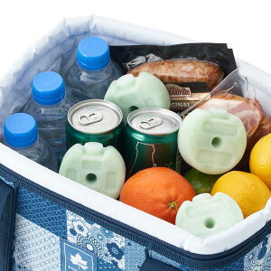 ۗ X_pbN Lv 81660639 {EX_pbN RpNg (2pcs) (HN) y36CEz