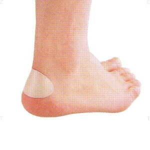 CCV[ ƃpbh ƃV[ 65240 \{NbVpbh Ɨp ySRBzy36CEz