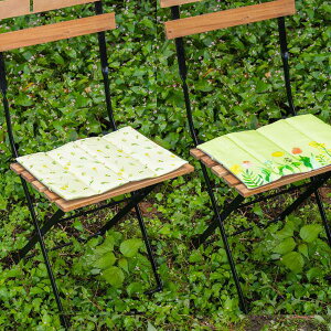 zc ܂肽 zc RpNg W[ Av[ FDUug yCAGzy36CEz