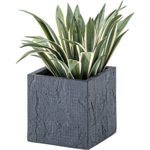 Aؔ  O[x[X ϗtA GRNB-208 O[x[X _[NO[ yAZMzy36CEz