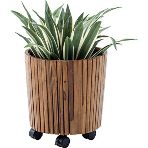 Aؔ  VR v^[ GUY-813 Ebhv^[S uE yAZMzy36CEz