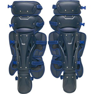 h Lb`[ K[c d h 싅 BLL1210S-2900 dp K[c vXeC^X lCr[ yZTBzy36CEz