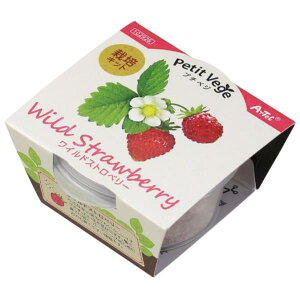 ͔|Lbg S ͔|Zbg ͔| Lbg 102926 v`xW ChXgx[ yACzy36CEz