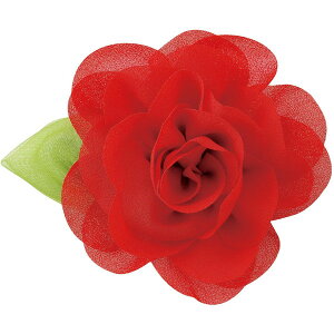 RT[W Ǝ w 5744 RT[WobW bh yACzy36CEz