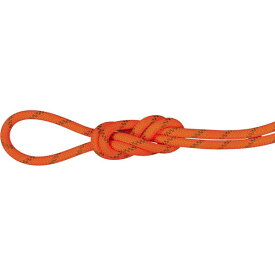 ロープ マムート ロープ クライミング クライミングロープ 2010-04350D-11238-70M 8.0 Alpine Dry Rope 2010-04350 SAFETY OR-BO 【MAT】【14CD】
