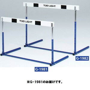 �n�[�h�� �g�[�G�C���C�g G-1981 �n�[�h���X�v�����O��ABS1F (TOL)�y36CE�z