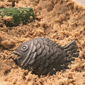 ЕFt S⋋ iXЂ ŠN yKKSzy36CEz