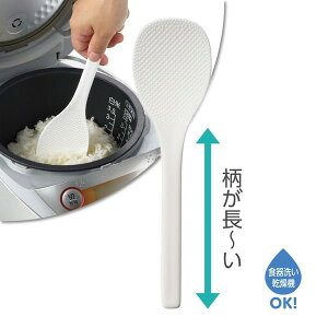 VW Ȃ  CH-2039 Ď₷  yATAzy36CEz