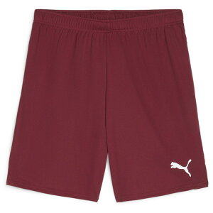 n[tpc Y Y{ y[֔z TbJ[ Y teamGOAL Q[pc TEAMREGALRy36CEz