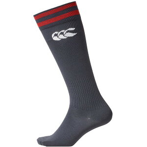 2CXgbLO C \bNX y[֔z 2LINE STOCKINGS lCr[y36CEz