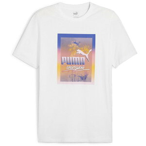 TVc Y  y[֔z GRAPHICS tHg vg TVc v[} zCgy36CEz