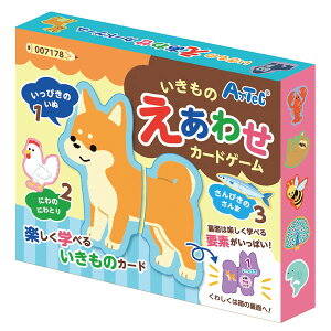 J[hQ[  wK #7178 ̂킹J[hQ[ yACzy36CEz