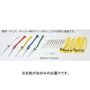 }[J[ |Cg}[J[ C F3174W |Cg}[J[i10{1gj  yNKJzy36CEz