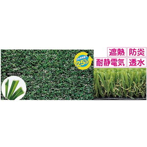 �l�H�� �ϋv�� F6933 ���A���l�H�Ńv���~�A���^�C�v CTP35 �yNKJ�z�y36CE�z