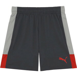 �p���c �V���[�c �V���[�g�p���c INDIVILIGA TR �V���[�c Gray Echo-Dusky Gray-PUMA Red �yJSP�z