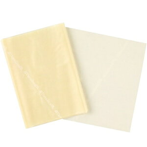 セラバンド ブリスターパック(ワンカットサイズ2m/タン/エクストラシン) (JS120404/TBB-0)【36CE】