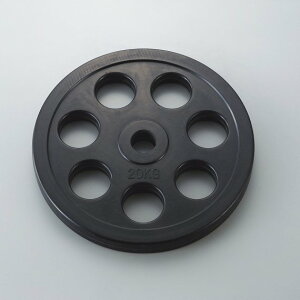 バーベルプレート 20kg」の人気商品一覧 | 安い商品を通販サイトから 