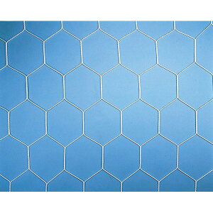 TbJ[lbg _m D-6720 ʃTbJ[lbgTb^ (zCg) (DAN)y36CEz