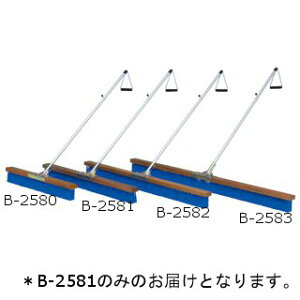 �R�[�g�u���V �g�[�G�C���C�g B-2581 �R�[�g�u���VNAH120 (TOL)�y36CE�z