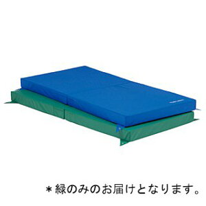 S_p~}bg g[GCCg T-1313G S_p~}bgSE90  (TOL)y36CEz