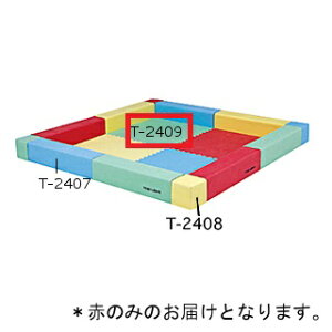 vCh g[GCCg T-2409R vChWCg}bg  (TOL)y36CEz