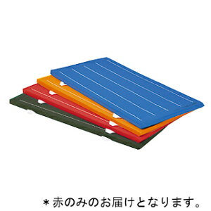 J[}bg g[GCCg T-2824R AĐmXbv}bg  i90×180×5cmj (TOL)y36CEz