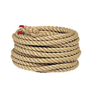 j[v g[GCCg B-2006 j[v38-50m (TOL)y36CEz