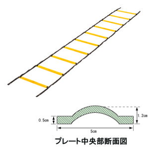 g[jO[v Goj[ EGA480 \tg_[g[jO[v (ENW)y36CEz