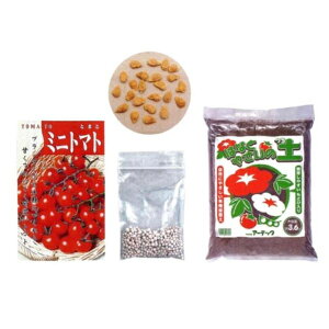 ~jg}g͔|{Zbg (AC231720/'002760)y36CEz