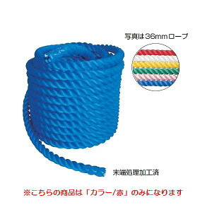 j[v Goj[ EKA422 J[j[v36mm(ԁj (ENW)y36CEz