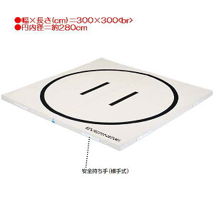 土俵マット エバニュー EKM503 抗菌土俵マット(枚) (ENW)【36CE】